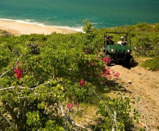 Baja California en buggies